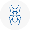 Ant Removals In Cheddar