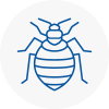 Bed Bug Extermination In Cheddar