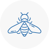 Bee Nest Removal Cheddar