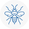 Cheddar Hornet Nest Removals