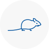 Mice Exterminators In Cheddar