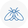 Moth Control Specialists In Cheddar