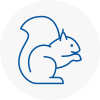 Cheddar Rodent Removals