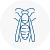 Cheddar Wasp Nest Removal